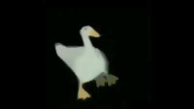 pato balando re tranqui