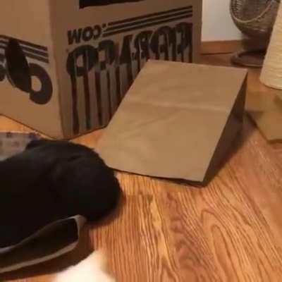 Now where are you...? Gotcha!!