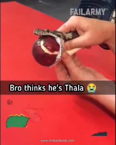 we do a little trolling apart from bgt