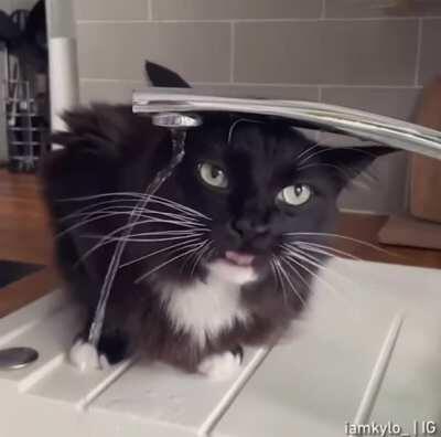 It’s the thought that counts, right?