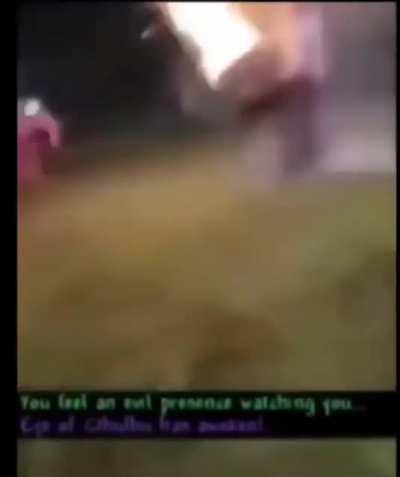 I present to you, my favorite video of all time.