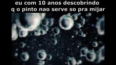 kkkkkkkkkk apenas verdades