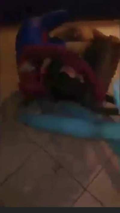 leaked scene from the new spiderman movie