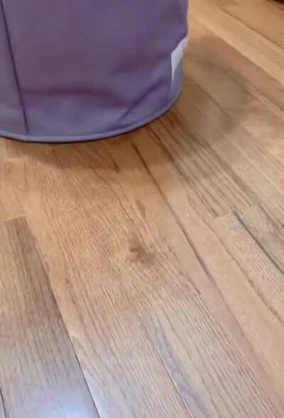 i buy him so many toys... his favorite “toy” is the laundry hamper.