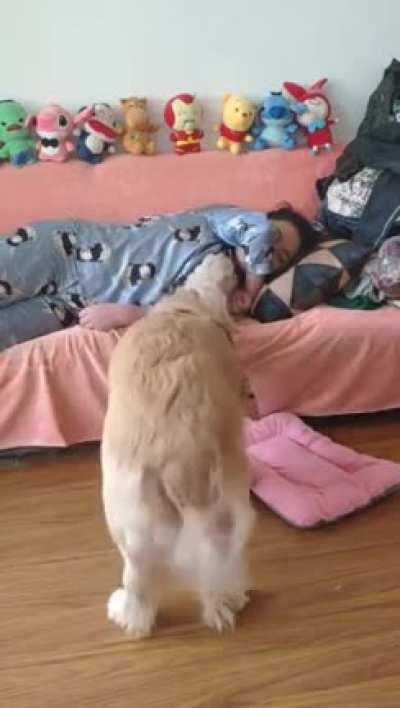 There's got to be some order