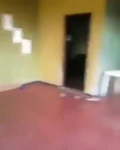 average brazilian kid