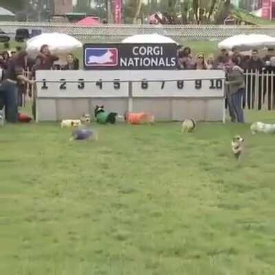 My money was on no.5...