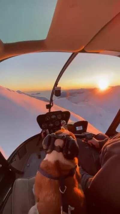 Fly around the world with her