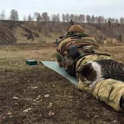 Re-upload of the tacticat because the original post was removed