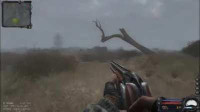 Such is the life in the Zone