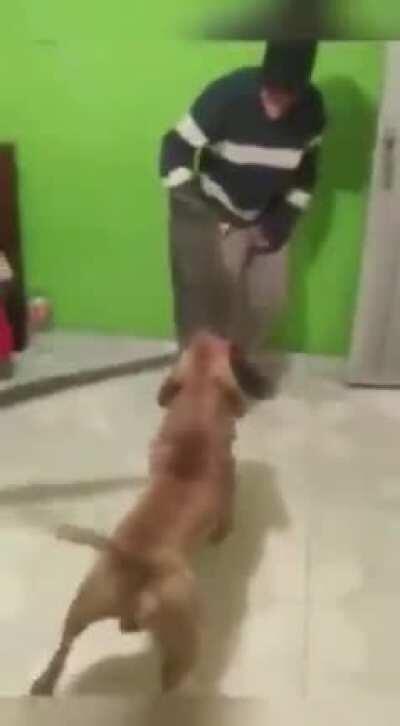 nao paga as droga na quebrada do tobia não pra voce ver