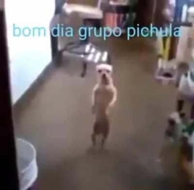 Bom día grupo kkkkkkkkkkkk
