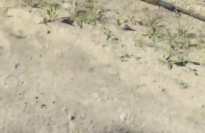 To look badass shooting a shotgun