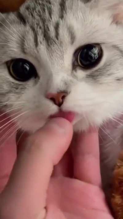 If I had a girlfriend I would send this to her, but I guess I'll leave it here