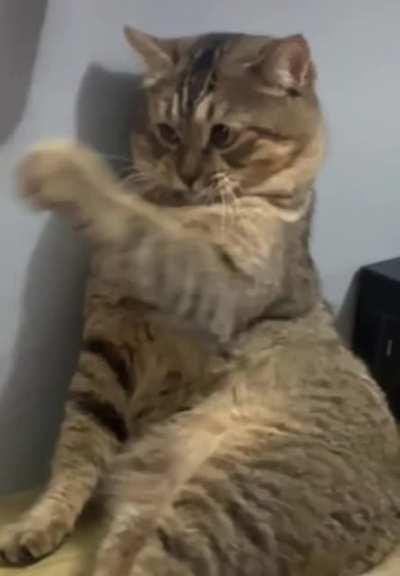 Them facial expressions