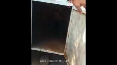 Midget guy living his best life