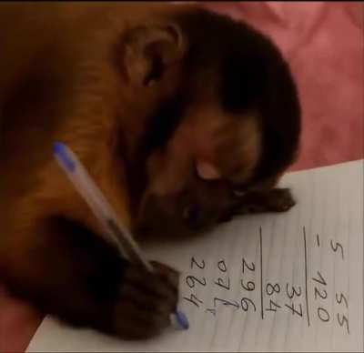 Elm después de hacer números y ver los gastos... vuelve a los streams XD!