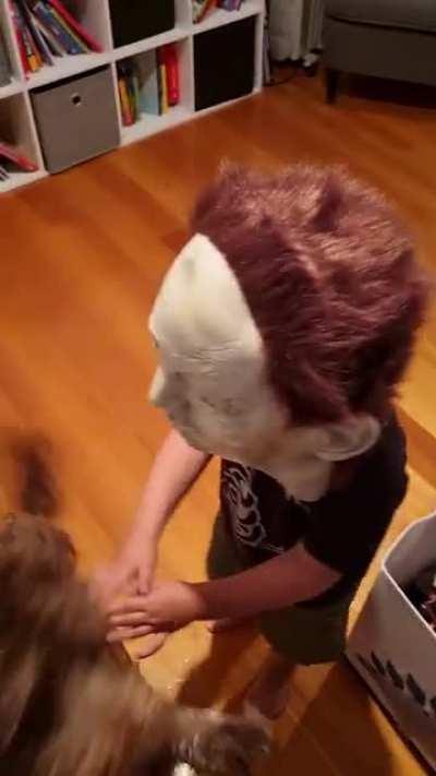 Revenge of the Labradoodle.