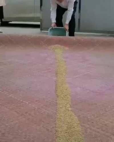 Interesting way to remove the dirt from the carpet