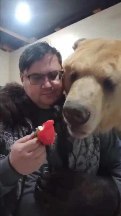 Fearless Man Tempts Fate