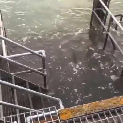 This floor and the waves......