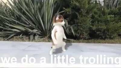 paragon be like but hd remake