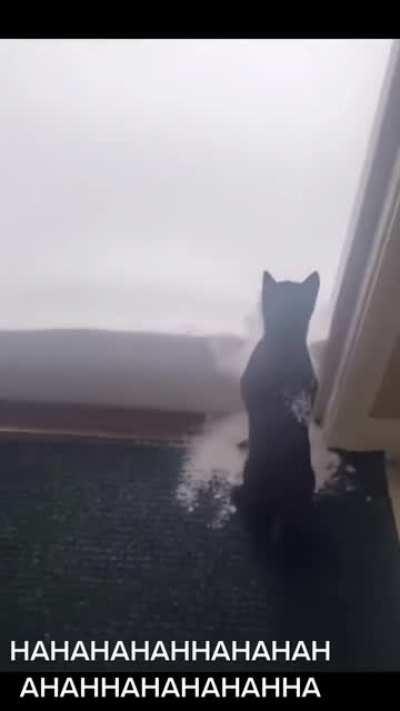 Man, you opened the door to the wrong summer.