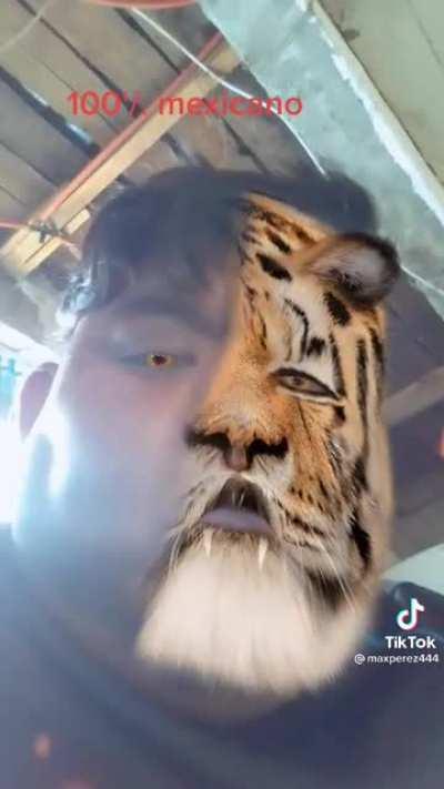 50% mexicano 50% furry