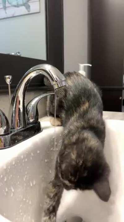 She figured out how to turn the faucet on. I shall arrest her for this!