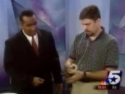 Lizard jumps on newscaster.