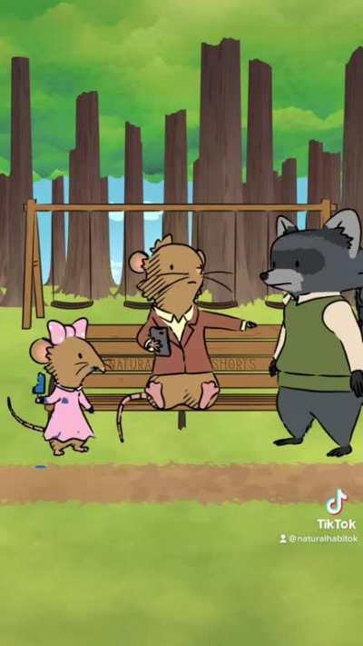 Fun Fact: Many species of shrews are venomous. They use their venom to paralyze prey. 🛝🐭💤