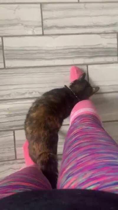 This is the only way I’m allowed to walk around my house