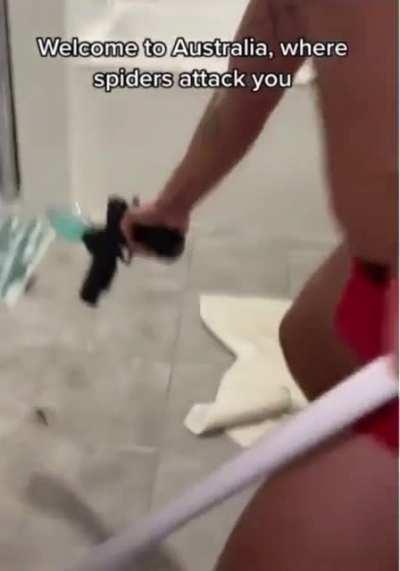 Thanks, I hate Australian spiders