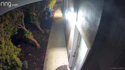 Armed Break-in in Renton, WA this week. Suspects announced themselves as police. Can we end no knock warrants so I don't have to work out if the guy who kicked in my door at 3am is an actual cop?