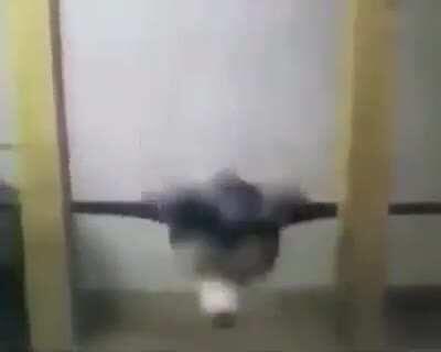 My face when Scp in real life