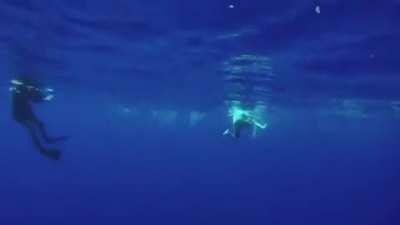 not a fan of the emptiness behind them ...