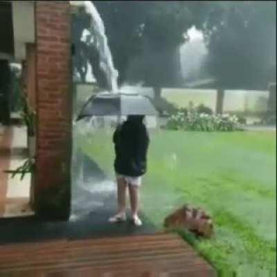 Nothing wrong with enjoying the rain