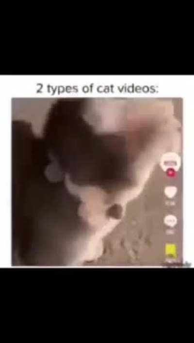 would also put rate my dog but 💀