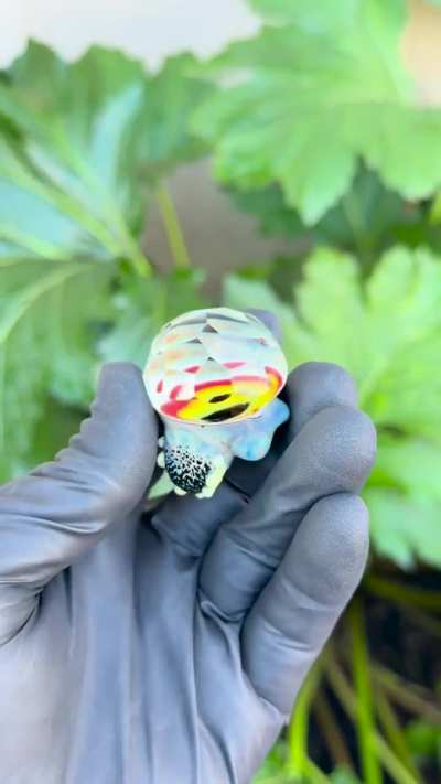 wheezyglass marbskull faceted by myself