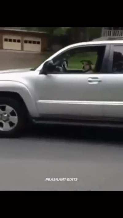 Doggy thinks he is salmon bhai