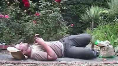 Dude tryna garden on Salvia.