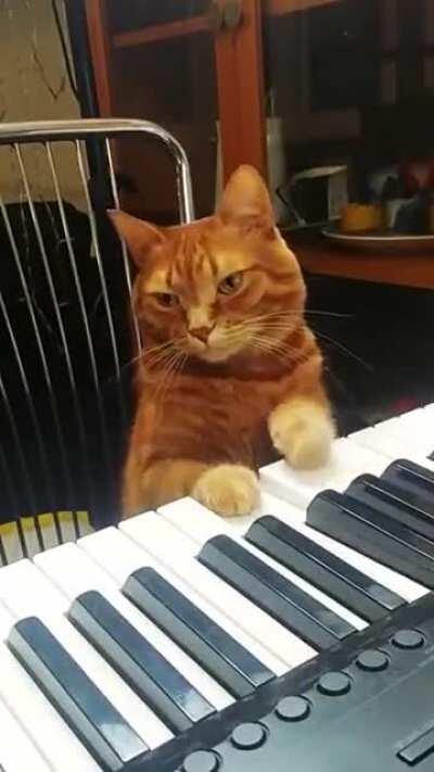 Footage of Motoi Sakuraba in his studio