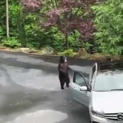 I like your ride....