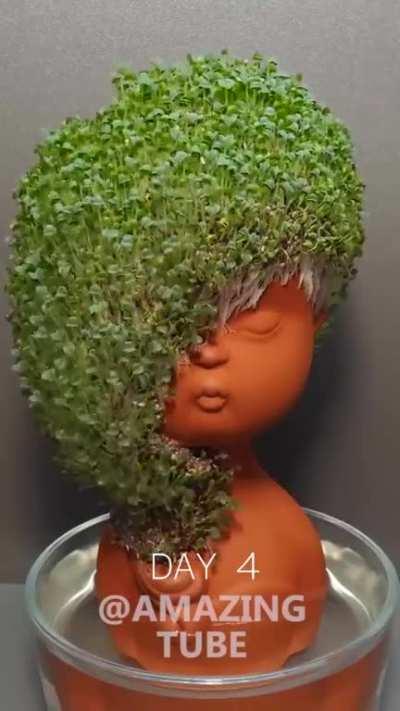 This is Amazing 🤩 @Amazingtube