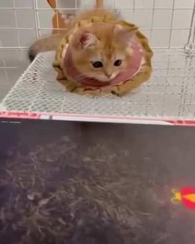 Ohhhh I need this game.