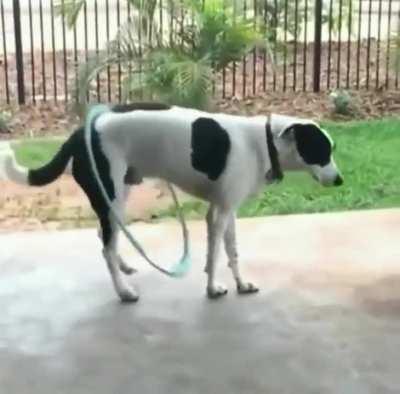 More talented than me!!