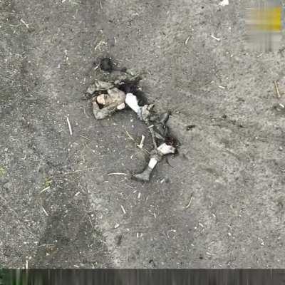 Results of Ukranian night hunt 