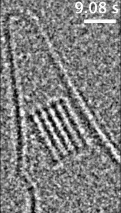 First-ever atomic resolution video of salt crystals forming in real time (nucleation)