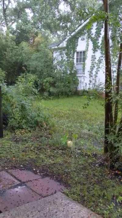 Gulf South light rains