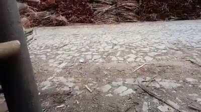 Now they know how it's like